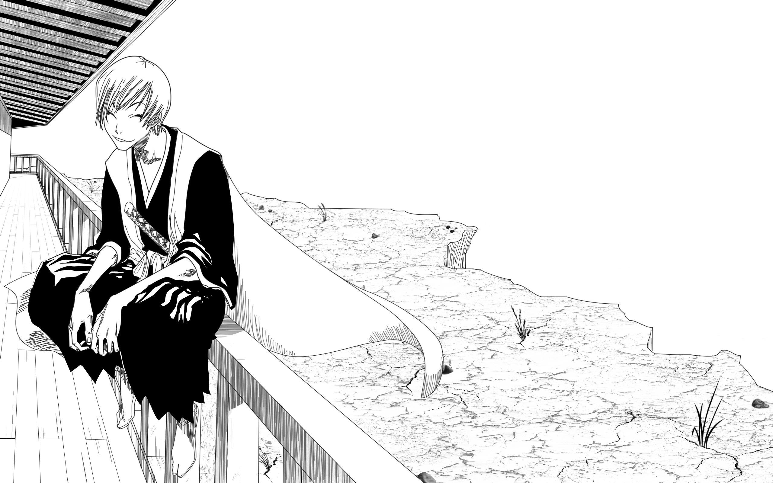 Ichimaru Gin, Bleach, Manga, Anime, Hintergrund, 2560x1600 HD Desktop