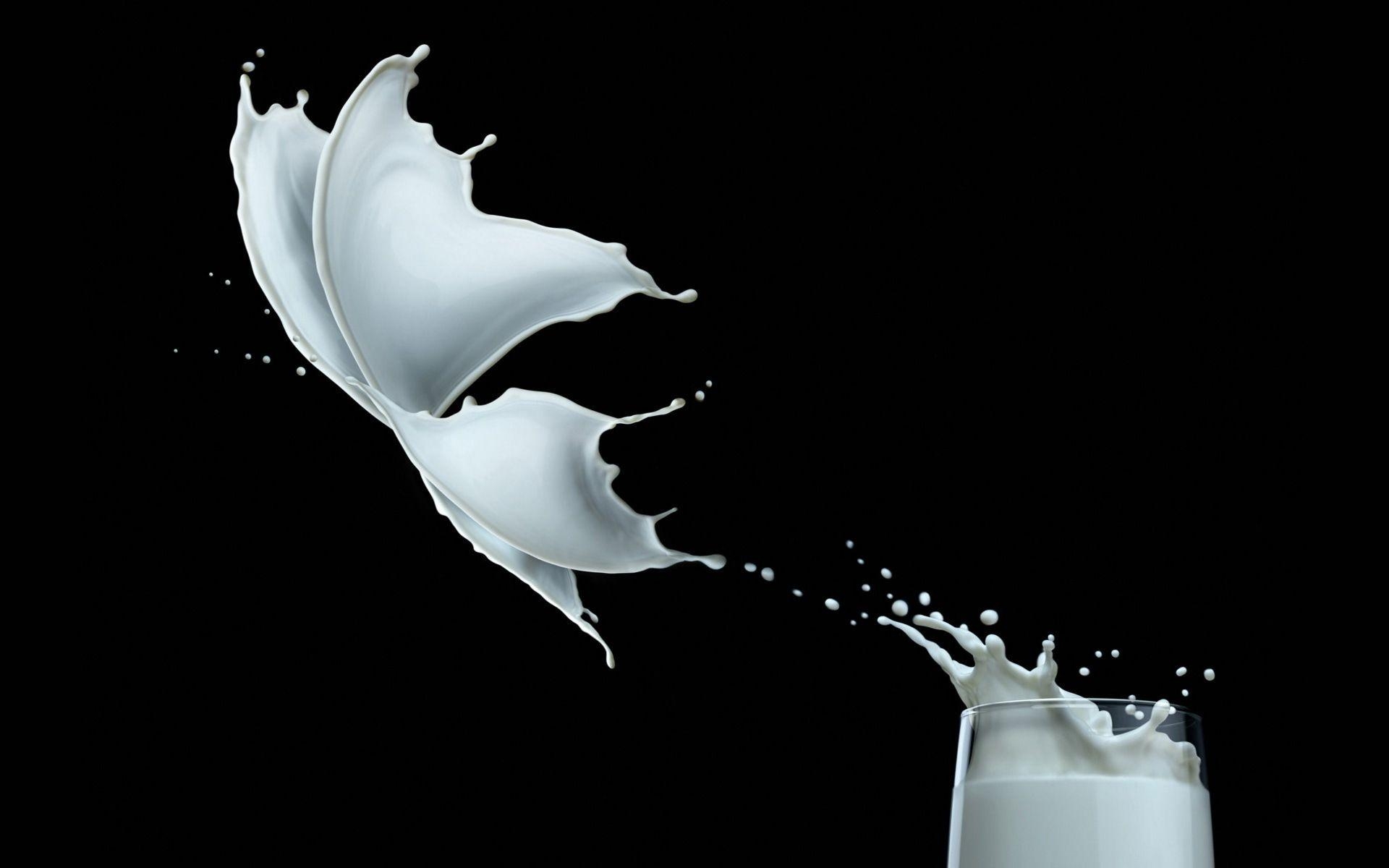 Milch, Fresh, Kalzium, Ernährung, 1200p, 1920x1200 HD Desktop