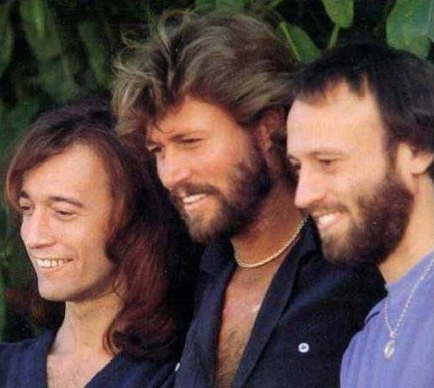 Bee Gees, 2, Musik, Retro, Bild, 1440x1280 HD Desktop