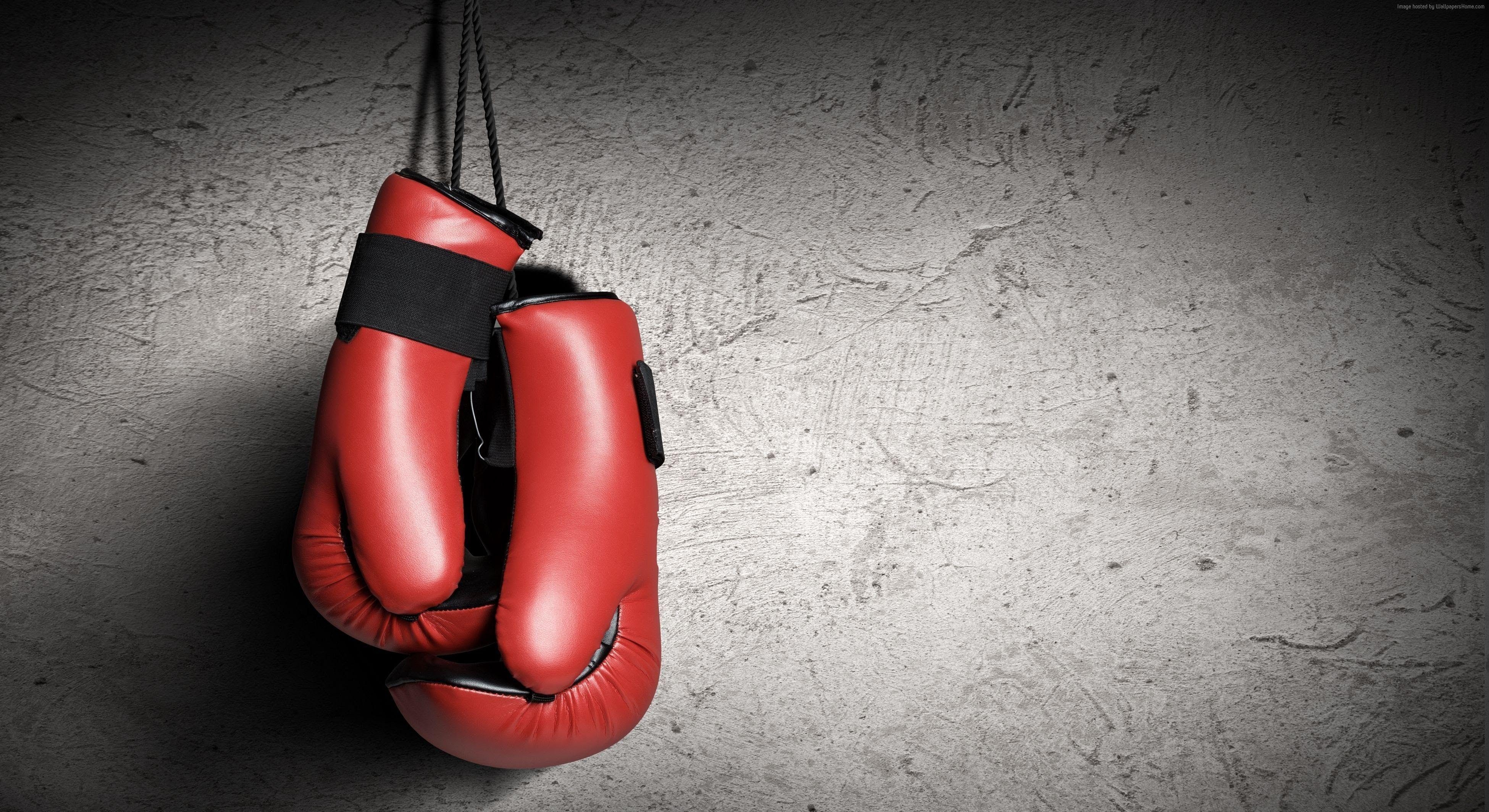 Boxhandschuhe, Sport, HD, Hintergrund, Kampf, 3900x2130 4K Desktop