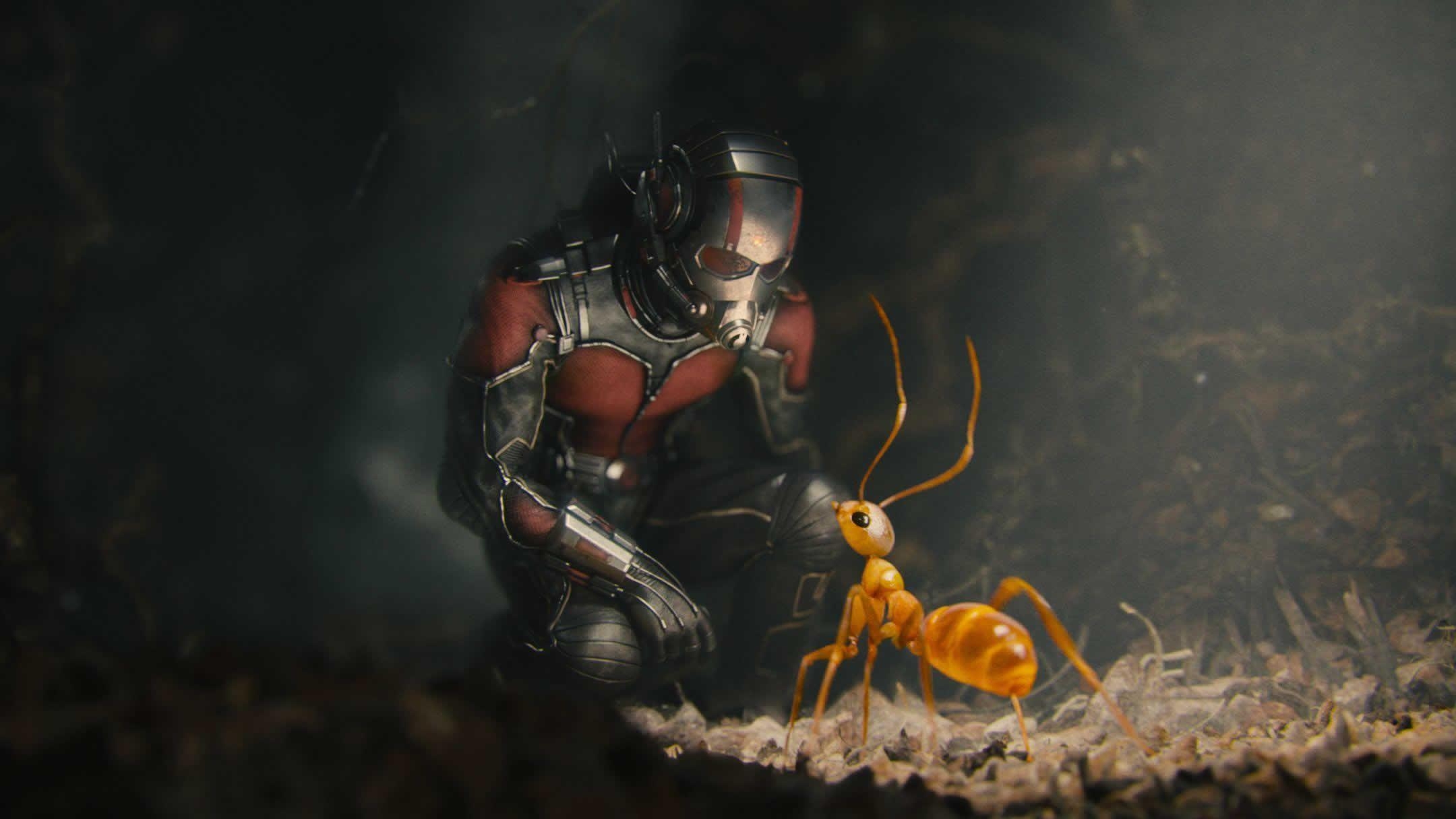 Ant-Man, HD, Marvel, Hintergrund, Film, 2160x1220 HD Desktop