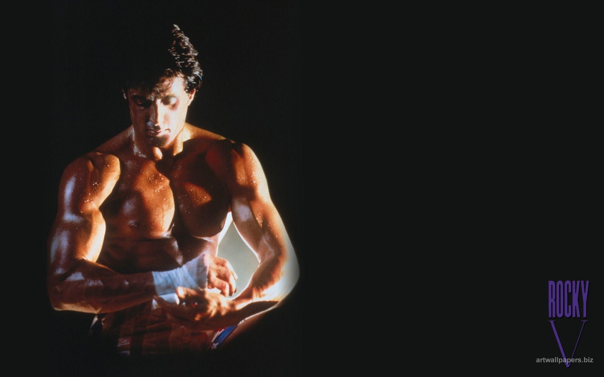 Rocky, Filme, Stallone, Boxen, HD, 1920x1200 HD Desktop