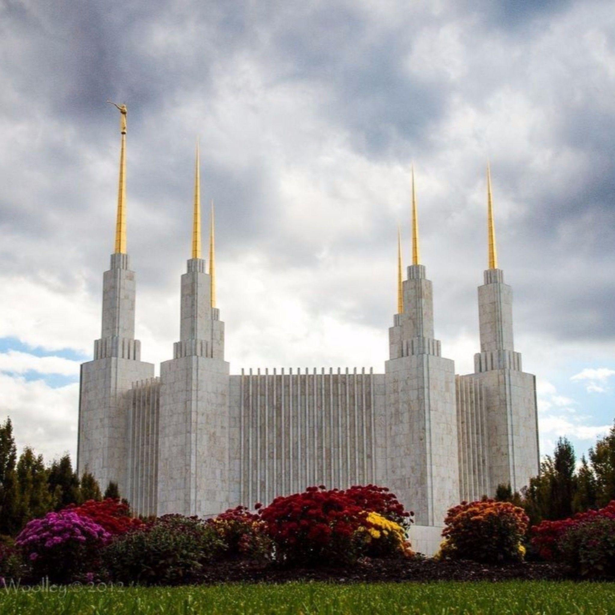 Salt Lake Tempel, Mormonentempel, Washington DC, Reisen, 4K, 2050x2050 HD Handy