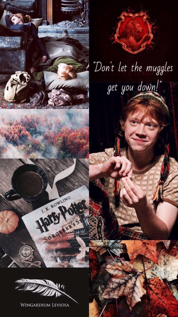 Ron Weasley, Harry Potter, Film, Zaubereiministerium, Magie, 720x1280 HD Handy