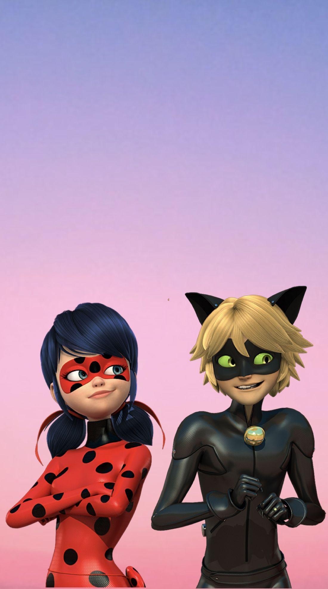 Ladybug, Cat Noir, Cartoon, Wallpaper, Kunst, 1100x1980 HD Handy