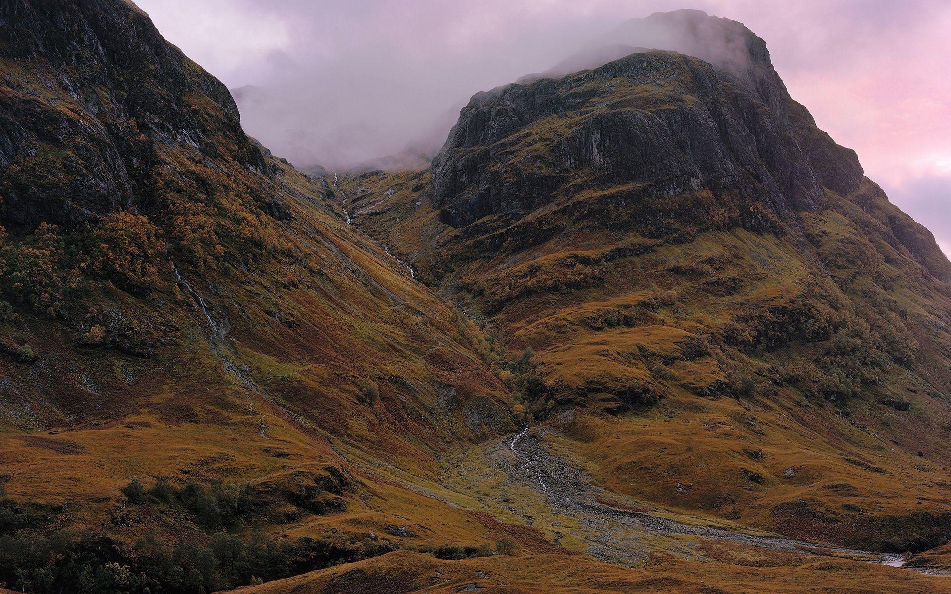 HD Natur, Schottland, sattes Grün, uralte Bäume, Poesie, 1920x1200 HD Desktop