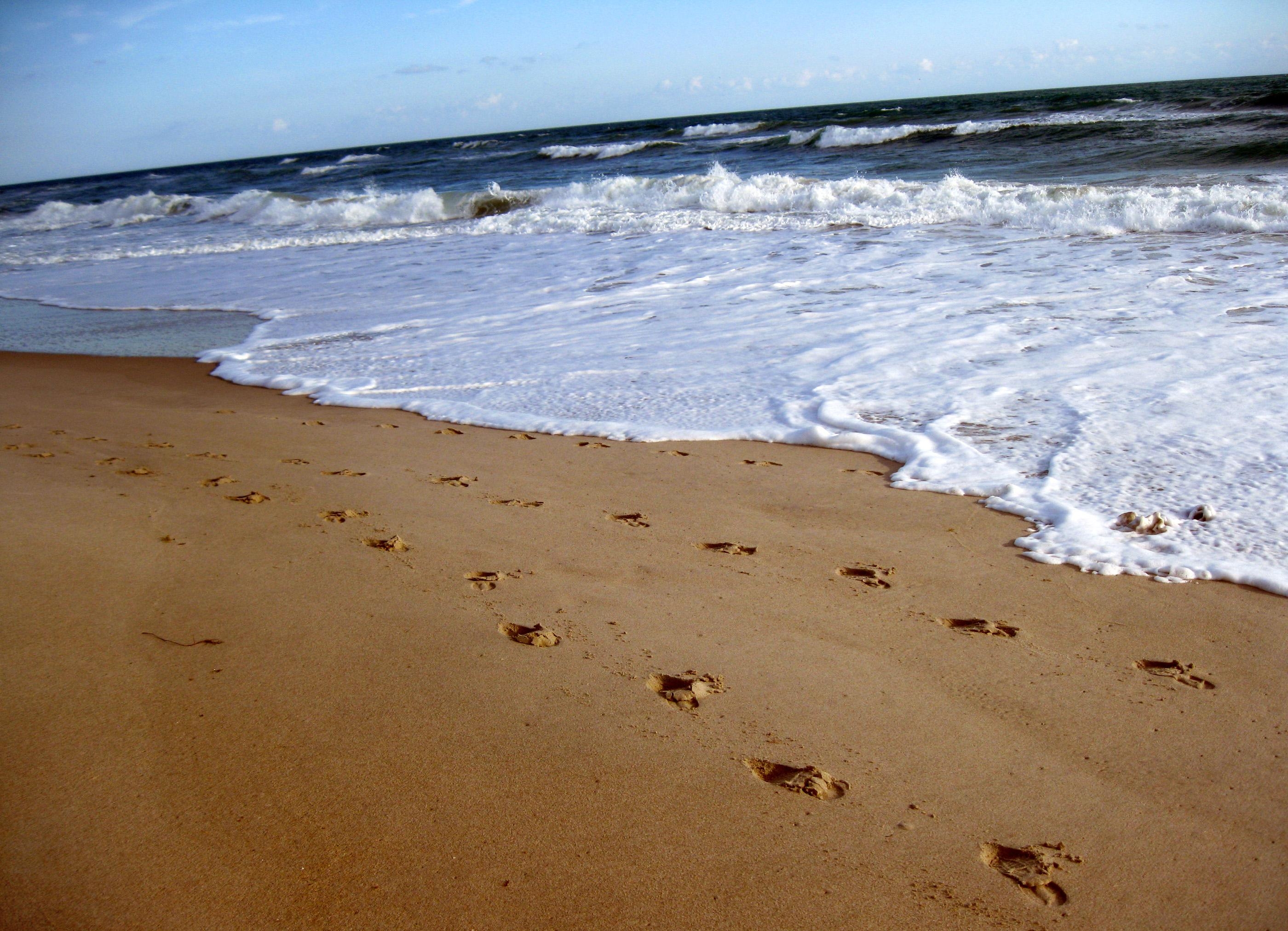 Fußabdrücke im Sand, Bild, neu, Sand, 2800x2030 HD Desktop