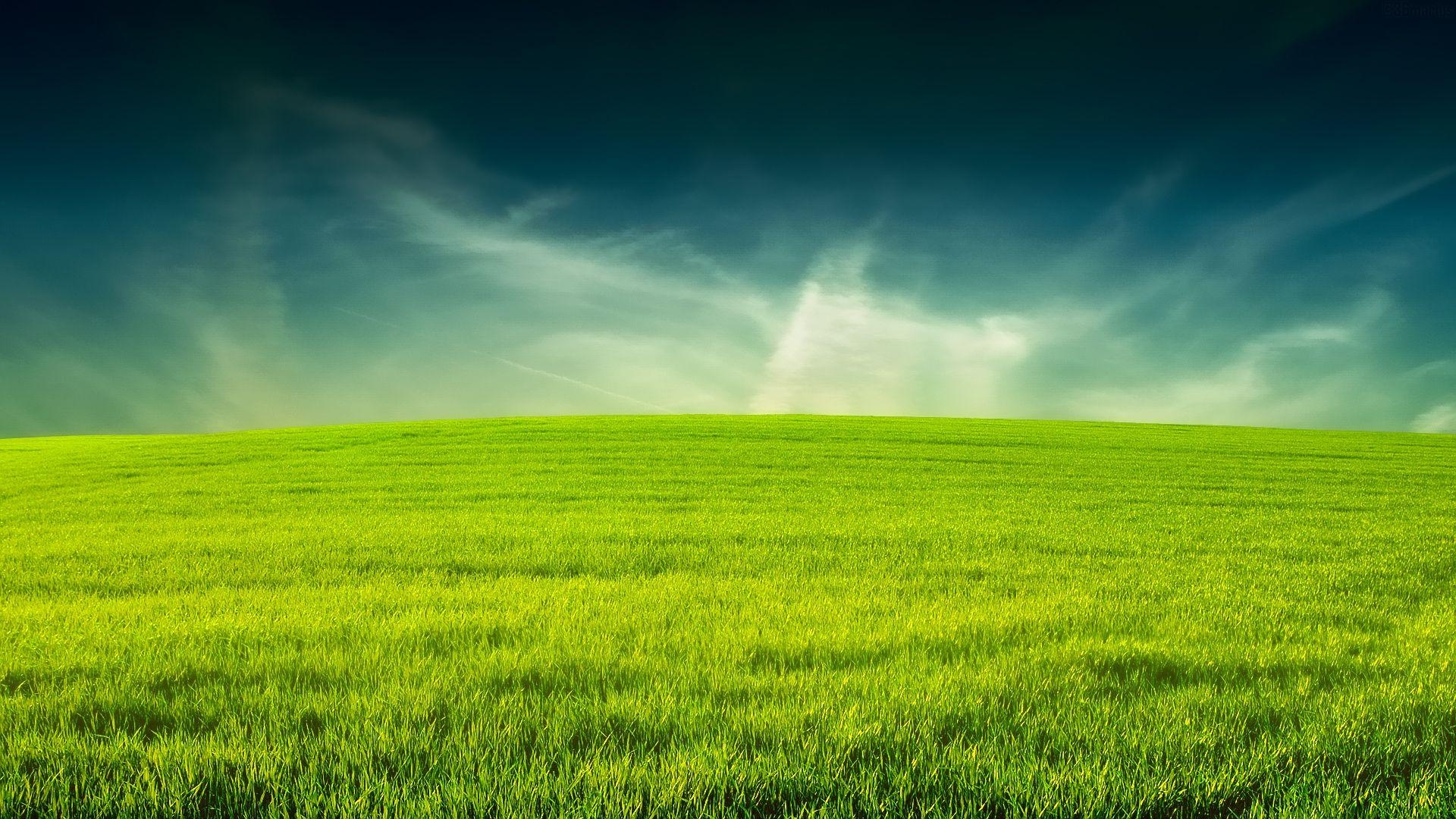 Gras, Voll HD, Ohk918, Bild, Natur, 1920x1080 Full HD Desktop