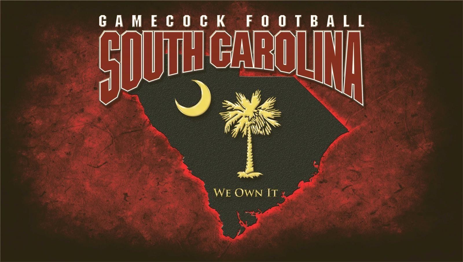 Gamecock, USA, Team, South Carolina, Sport, 1600x910 HD Desktop