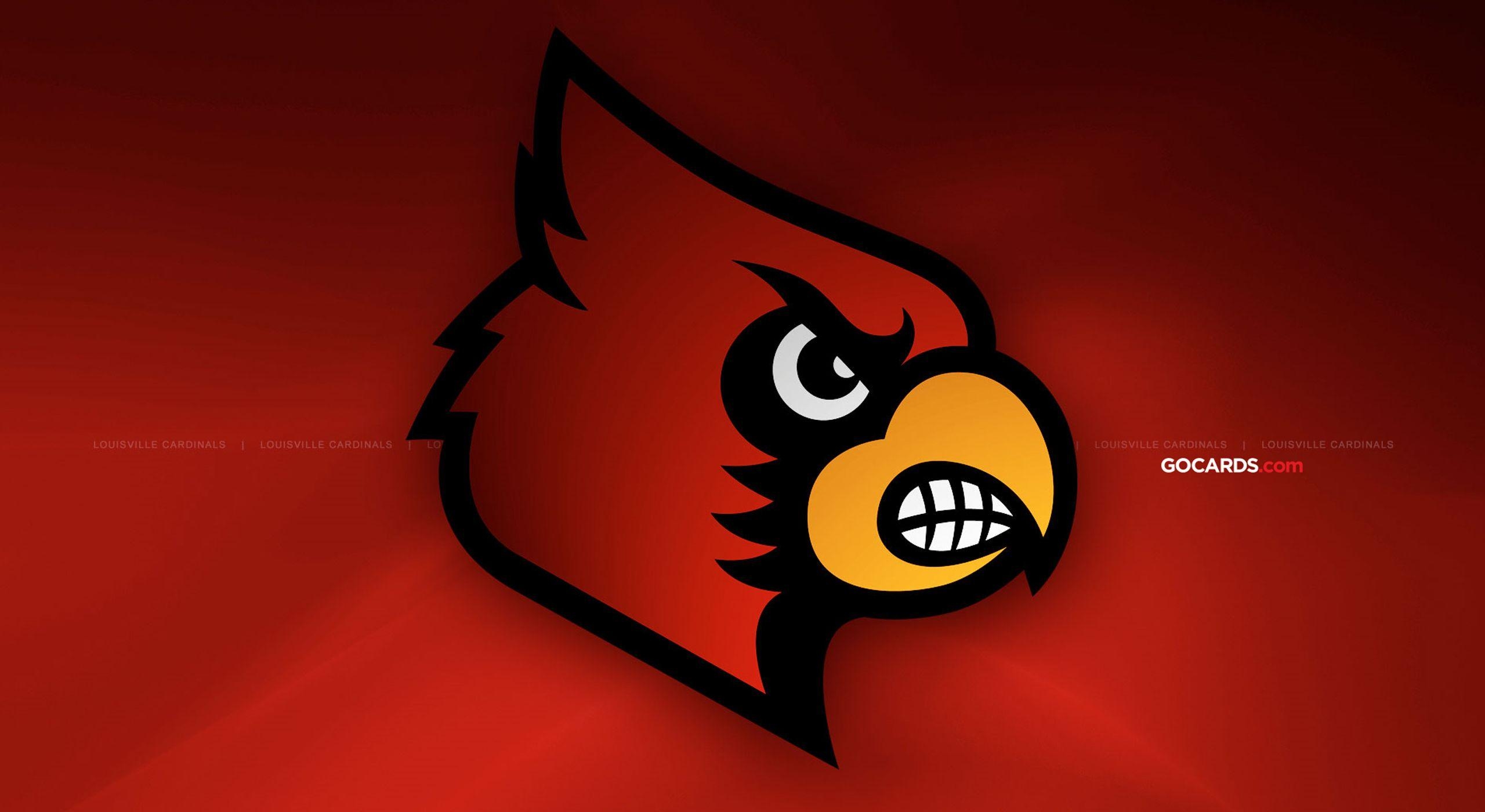 Louisville Cardinals, Sport, Universität, Team, Logo, 2560x1400 HD Desktop