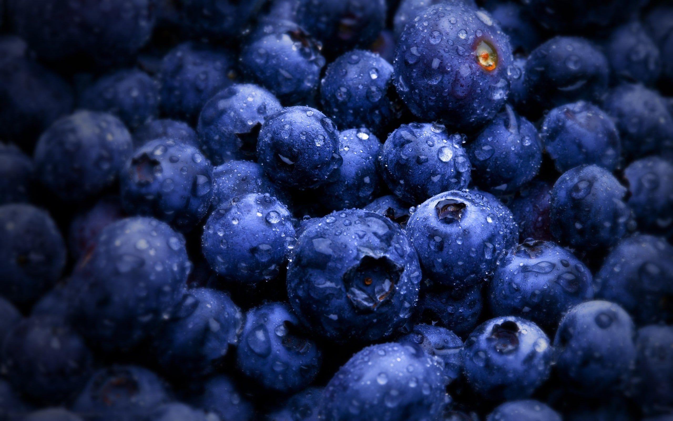 Blaubeere, Essen, Frucht, Hintergrund, Bild, 2560x1600 HD Desktop